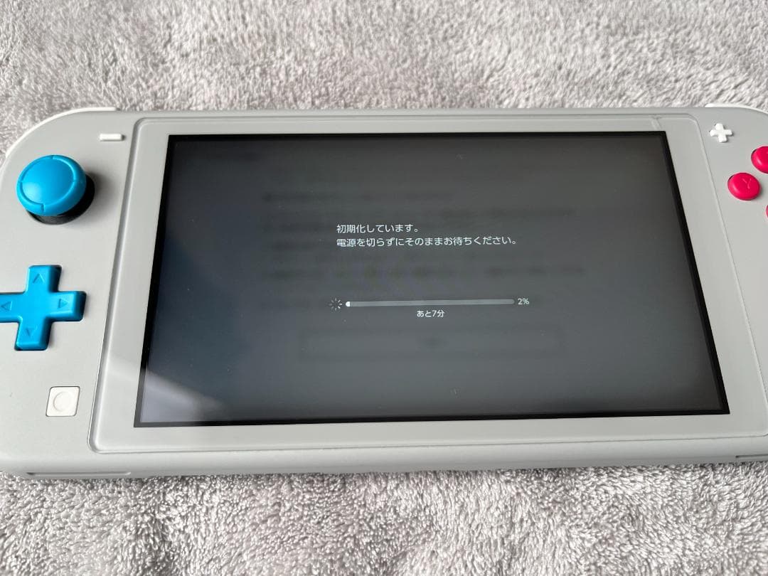 Nintendo Switch Lite ザシアン・ザマゼンタ　充電器付き箱無し