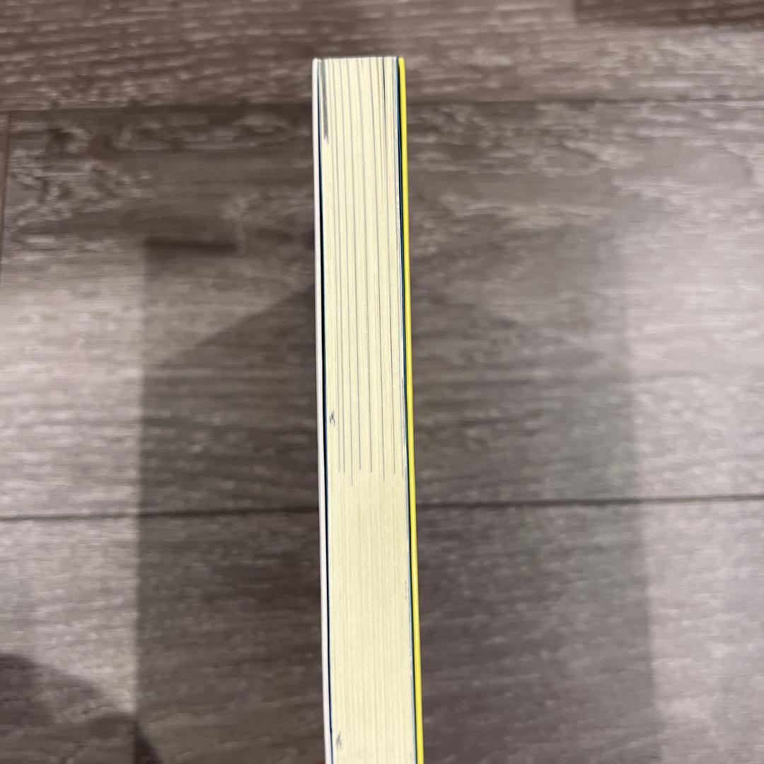 さよならブルーハーツ―パンク日記