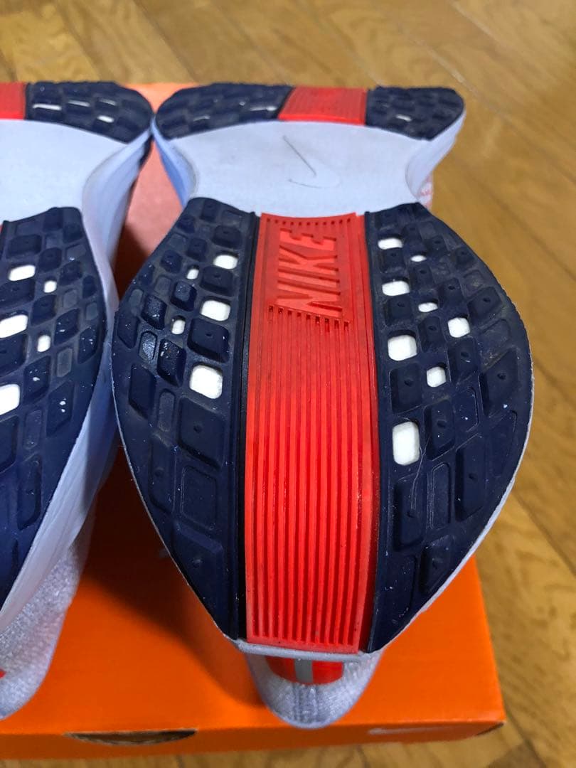 Nike　ナイキ　ペガサス プラス　27.5cm　メンズ