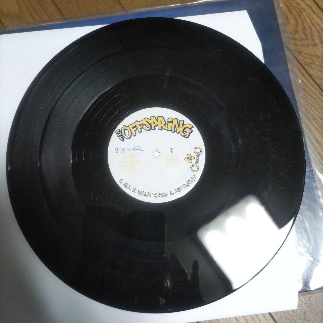 The Offspring　オフスプリング　 Want You Bad レコード