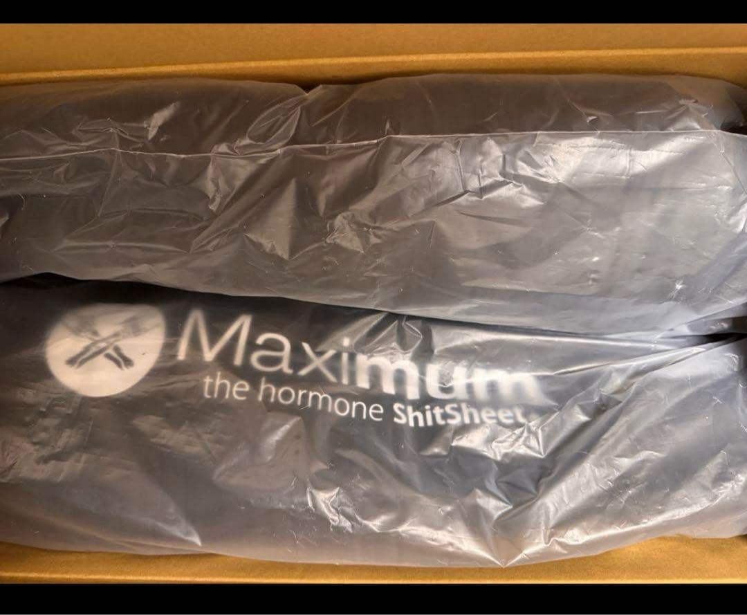 新品未使用 2脚セット マキシマムザホルモン アウトドアチェア
