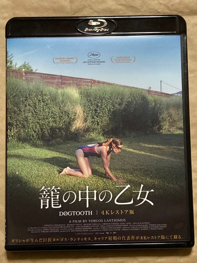 ゼルダの伝説