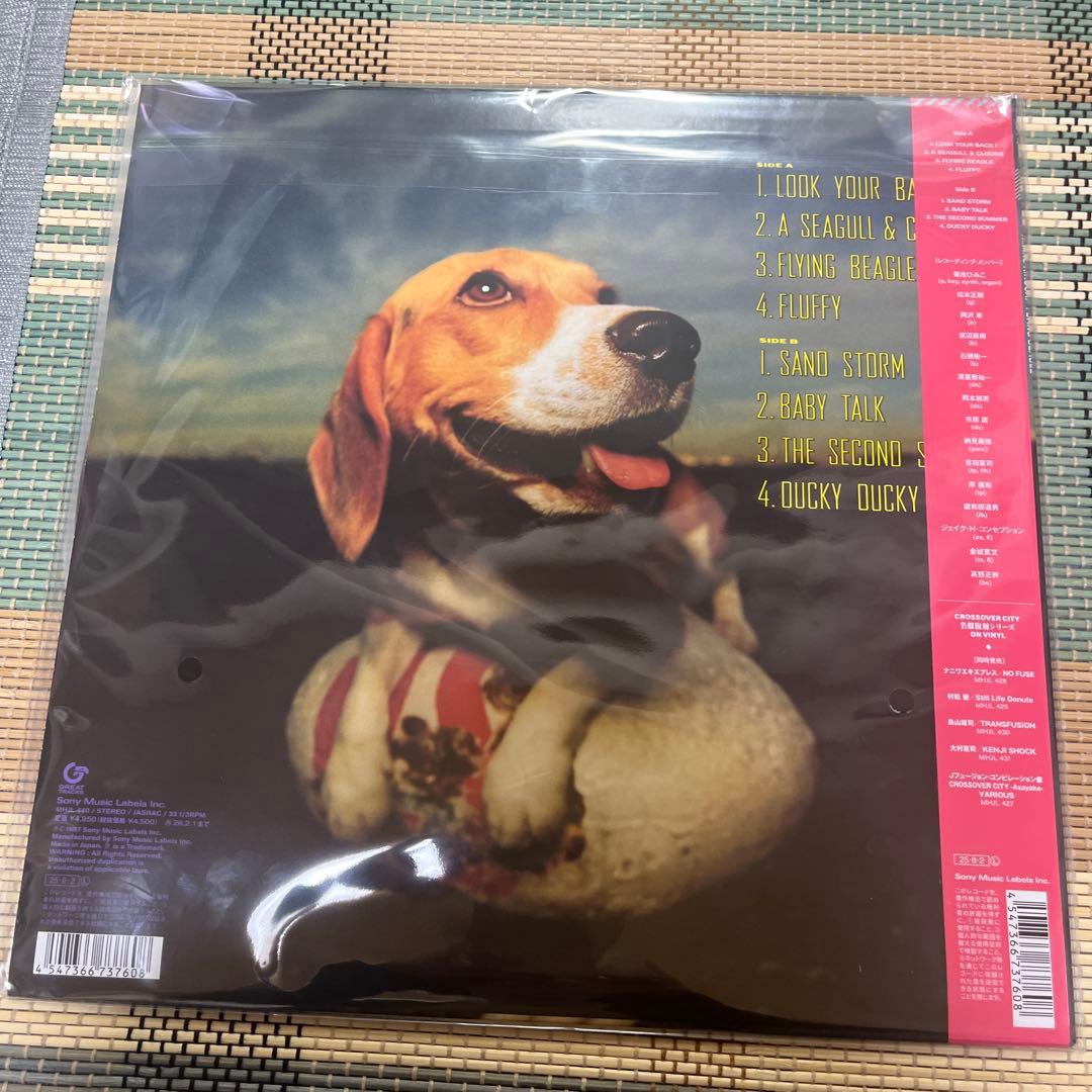 菊池ひみこ　FLYING BEAGLE