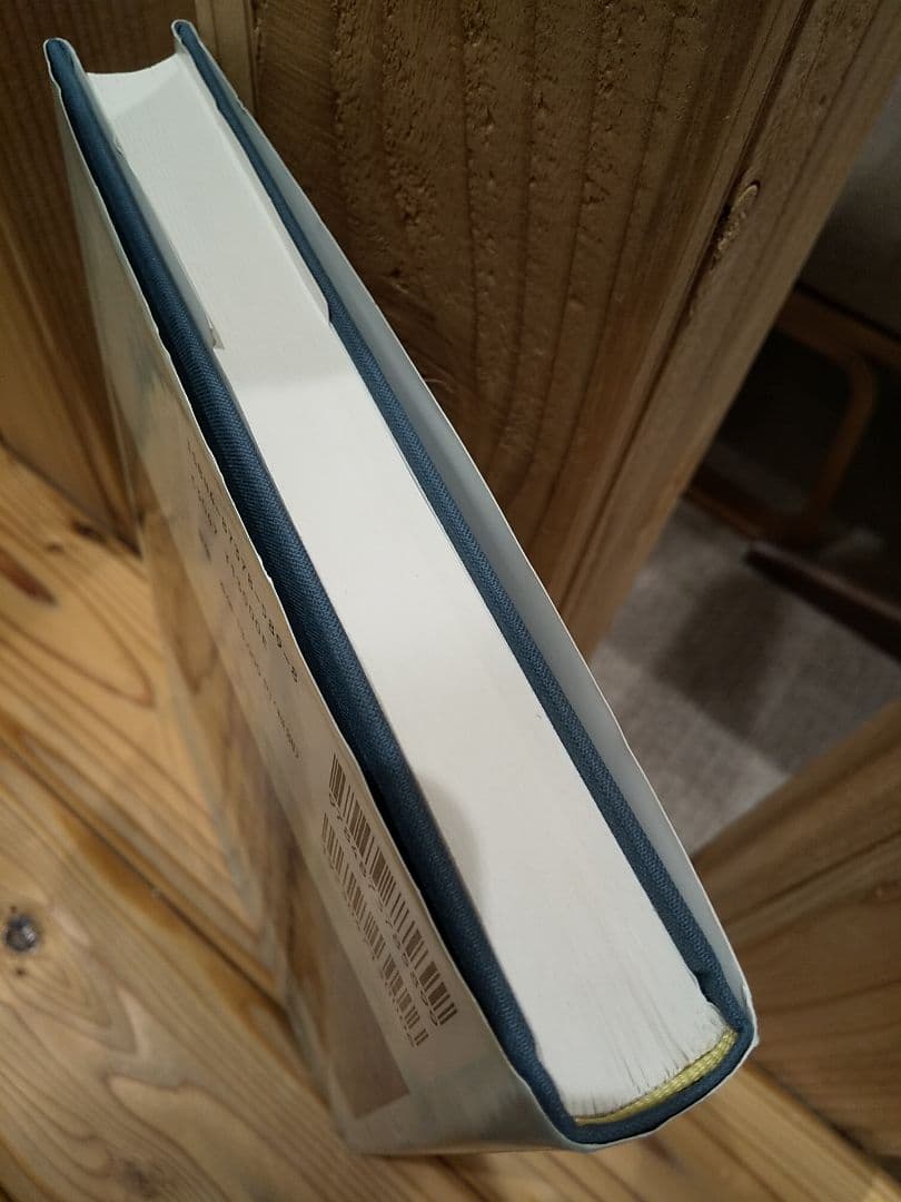 〈洋書〉水俣病の病態―水質汚染の悲劇／武内忠男