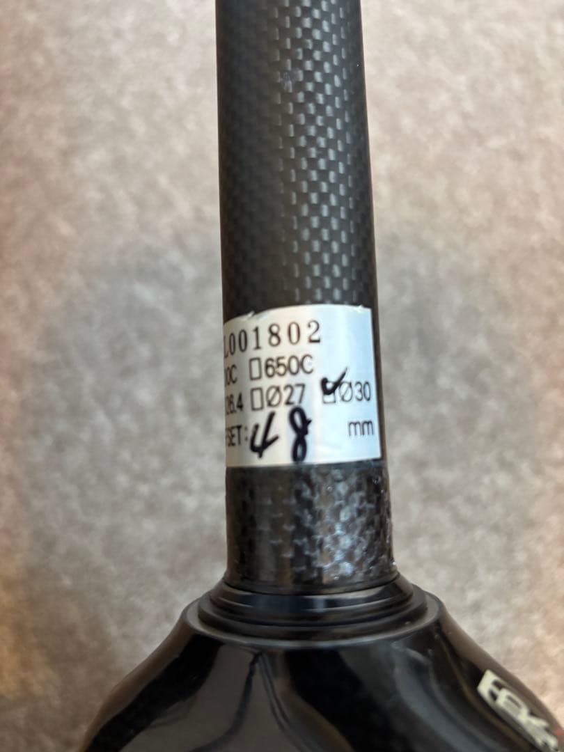 RITCHEY CARBON WCS フロントフォーク