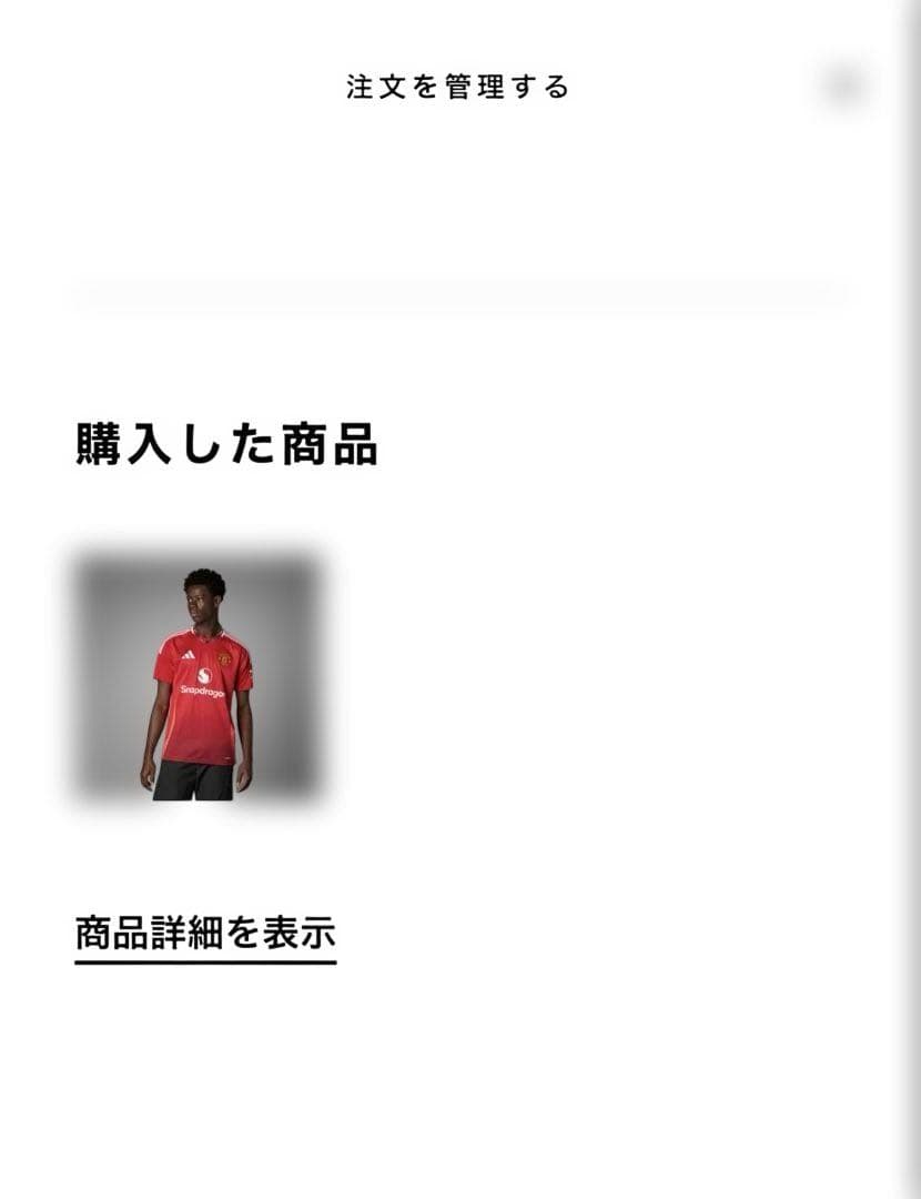 正規品　プレミアフルパッチ　マンチェスターユナイテッド ガルナチョ ユニフォーム