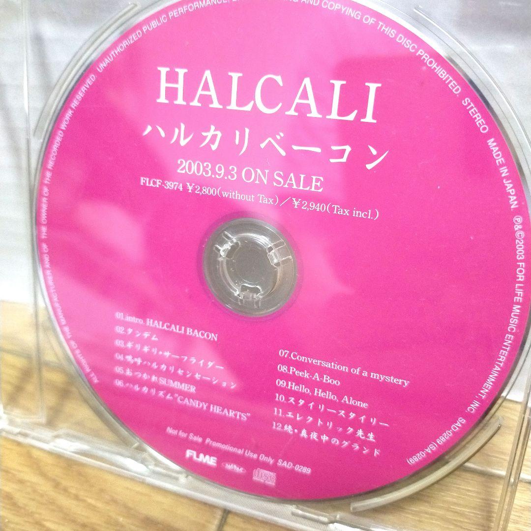 非売品Promo Sample盤CD/HALCALI ハルカリ/ハルカリベーコン