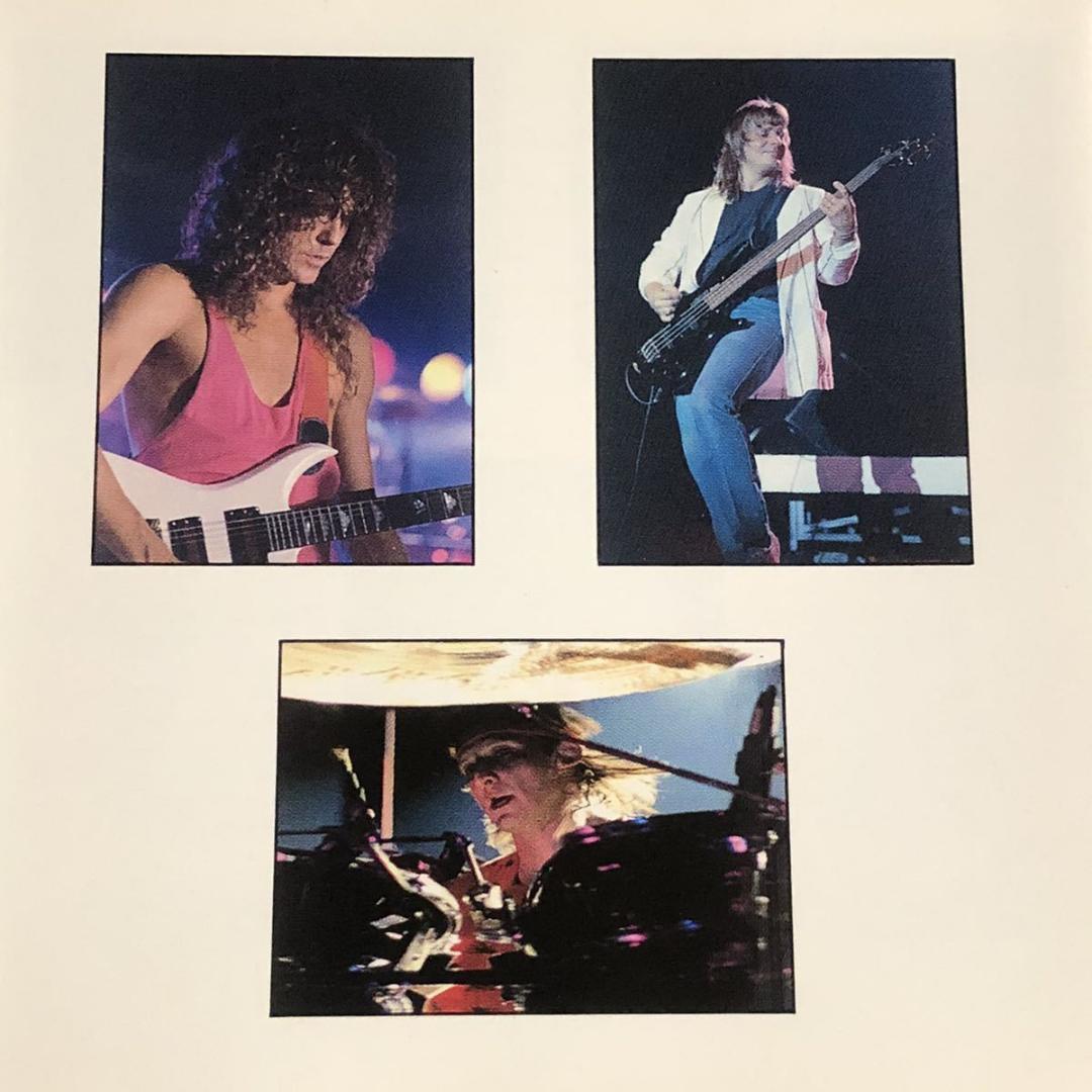 国内盤！ZEBRA/ゼブラ/ZEBRA LIVE/ゼブラ・ライヴ/1990年
