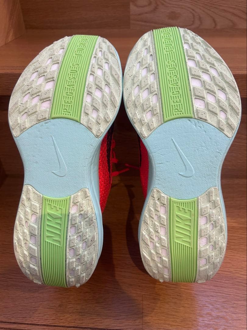 NIKE ペガサスプラス　25cm