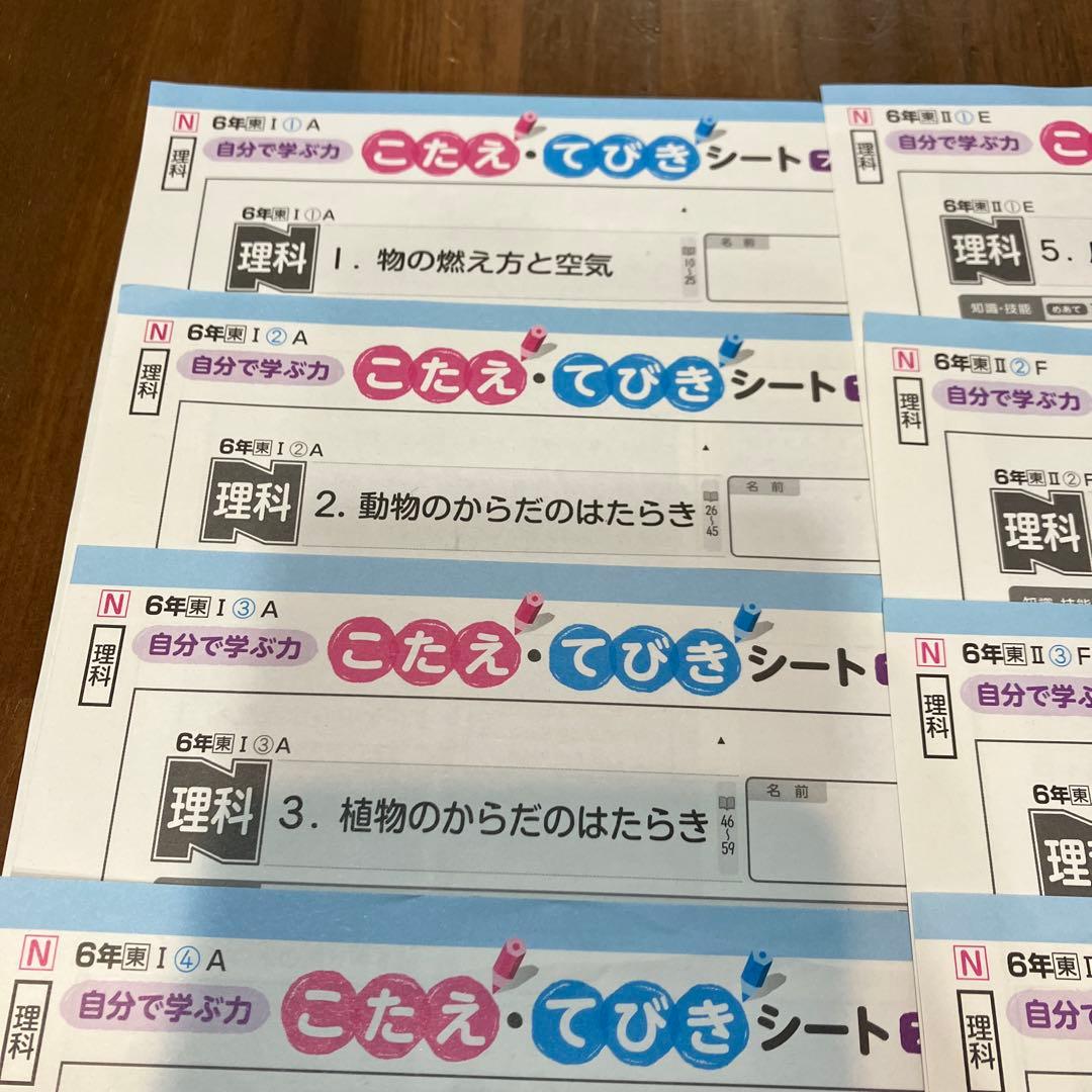 小6理科カラーテスト答えてびきシートNぶんけい東京書籍20242025年計15枚