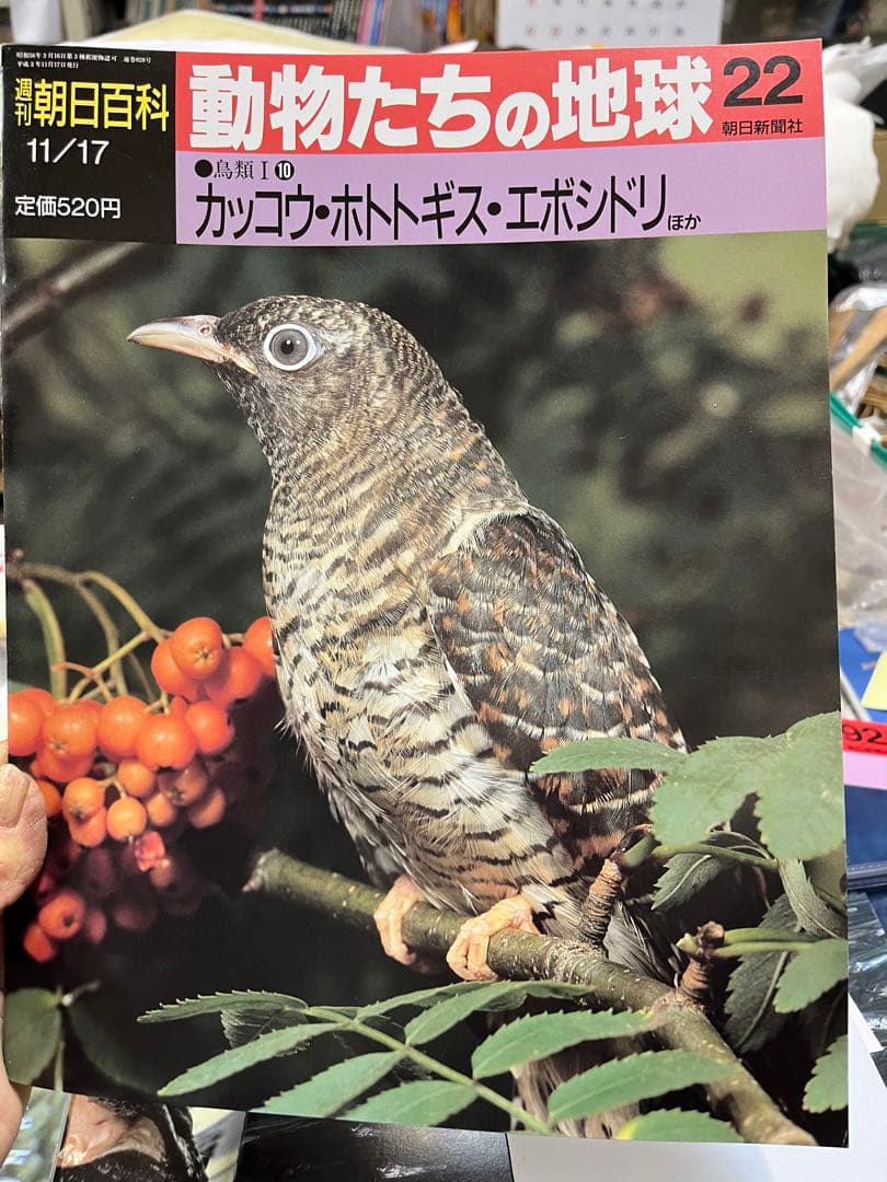 週間朝日百科　動物たちの地球 1〜144