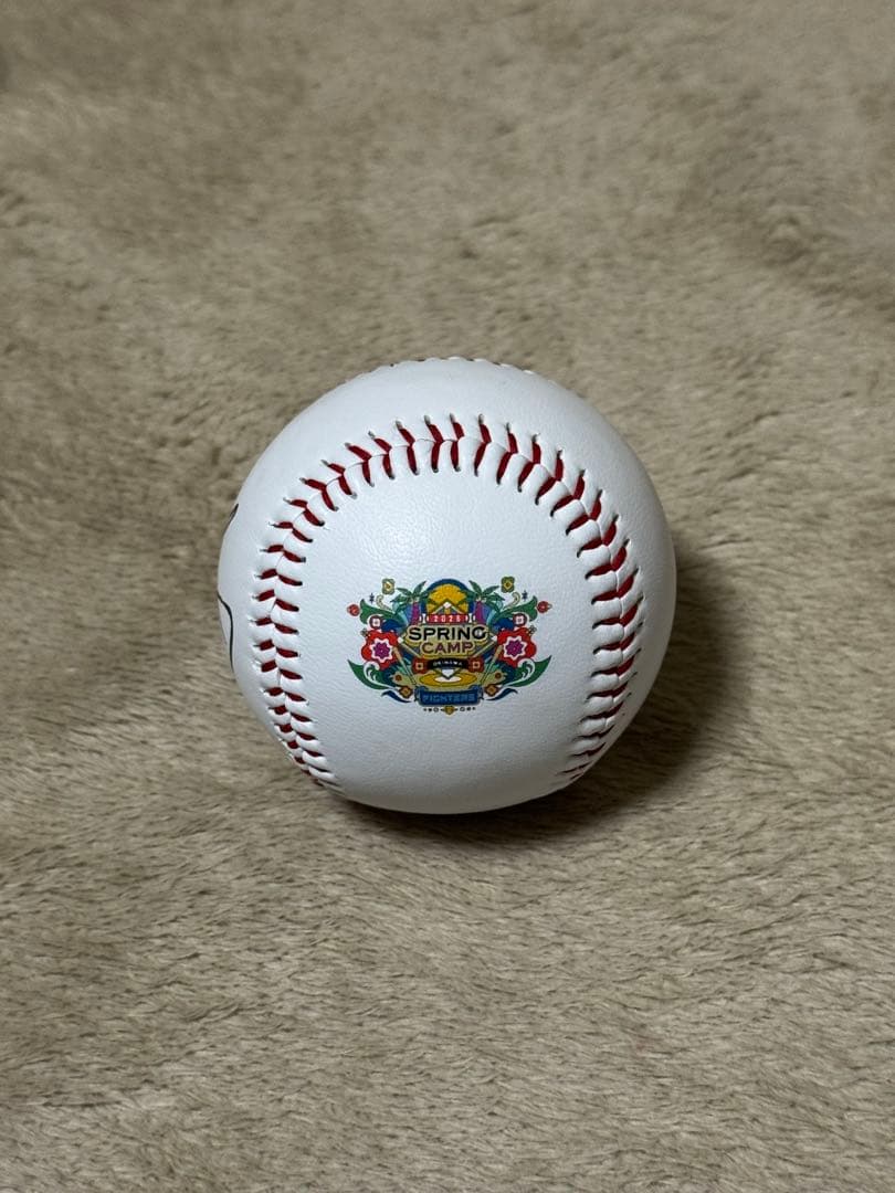 北海道日本ハムファイターズ名護キャンプ球　伊藤大海選手直筆サインロゴボール