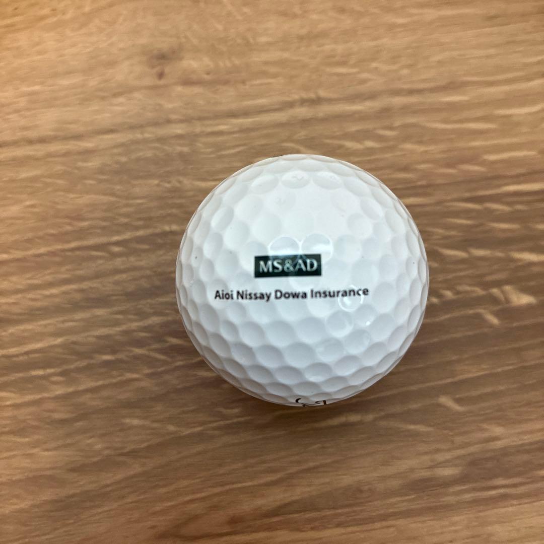 Titleist Pro V1 ゴルフボール 24個セット 企業ロゴ入り