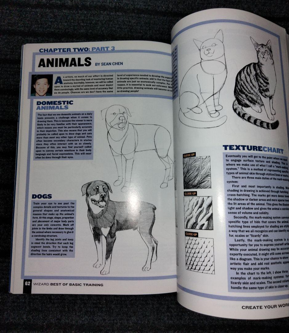 洋書 Wizard: How to draw character creation