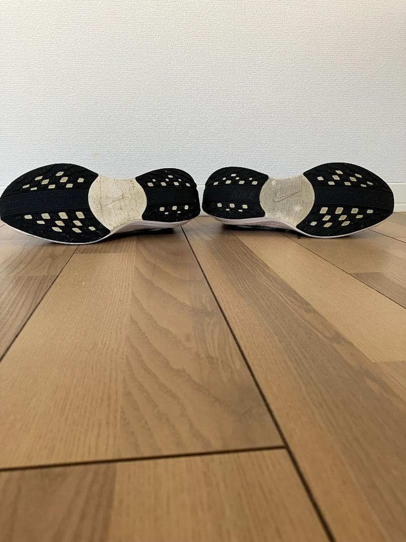 Nike ペガサスプラス