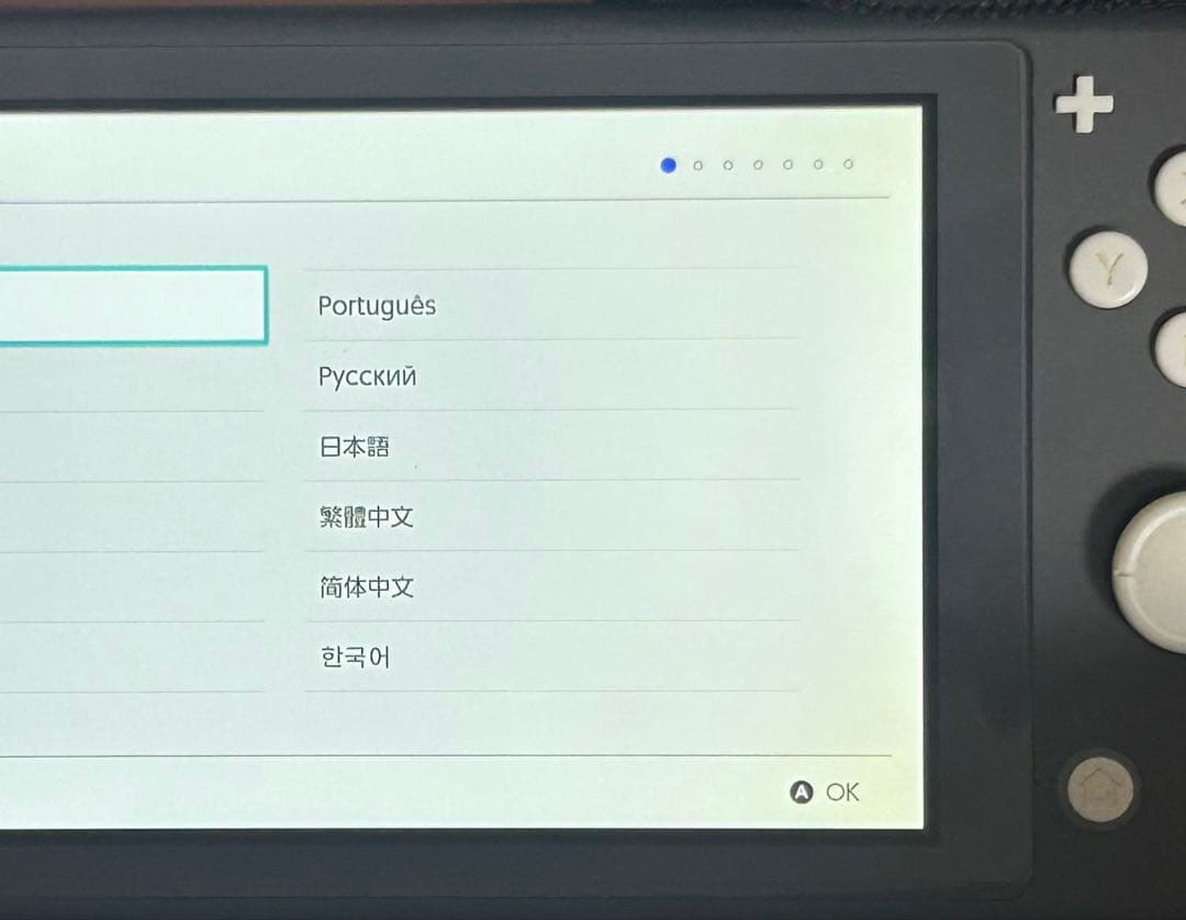 Nintendo Switch Lite グレー 本体 + 付属品+ケース