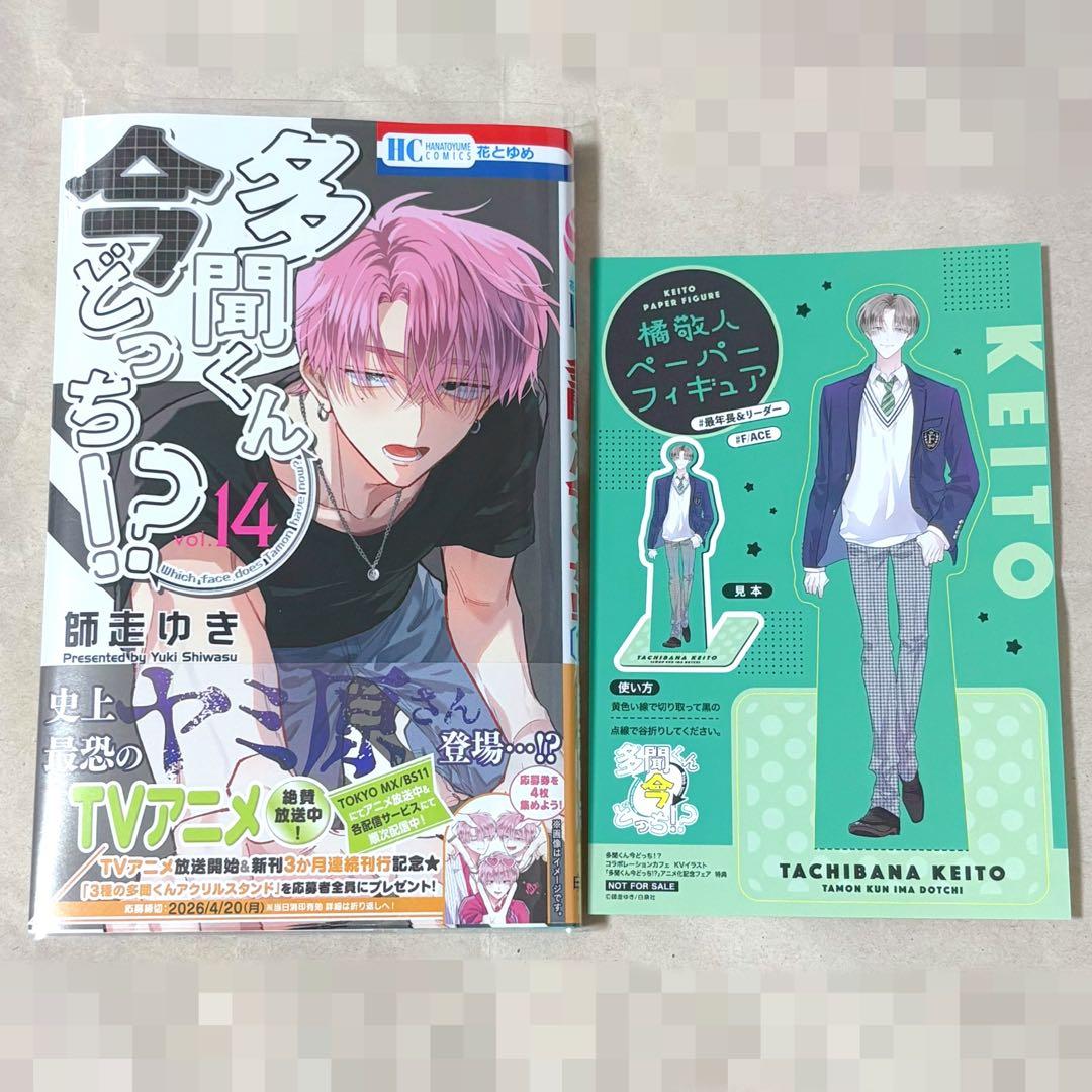 多聞くん今どっち!? 1～13巻 全巻初版セット 特装版 特典多数有り