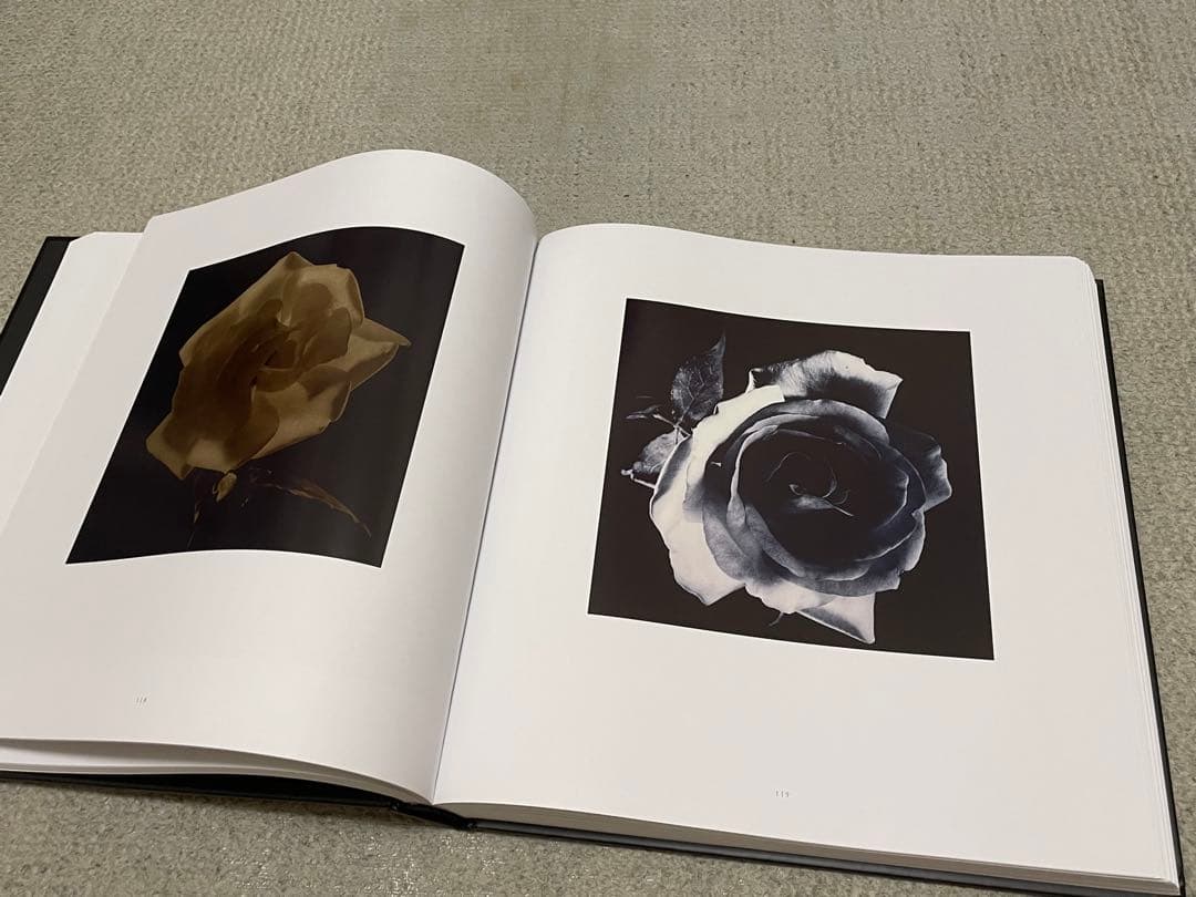 Robert Mapplethorpe / ロバート・メイプルソープ 花◆洋書