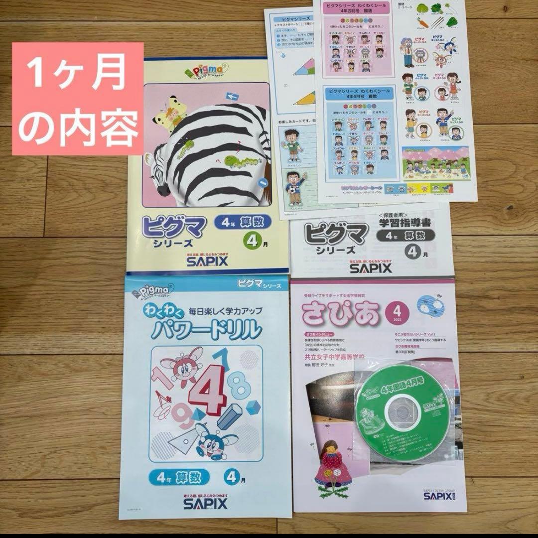 【送料込】SAPIX ピグマ⭐︎小4⭐︎ピグマキッズ