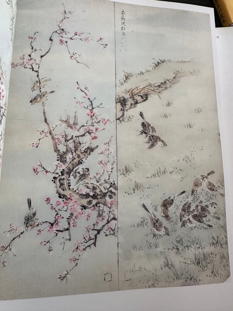 円山派下絵集 5冊セット　高井琮玄編　光村推古書院 円山応挙画集