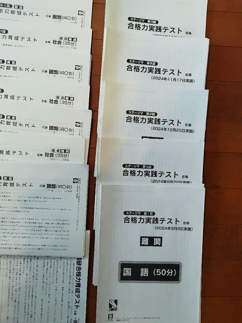 最新 2024年度 日能研 6年 ステージⅤ 合格力実践テスト&合格力育成テスト