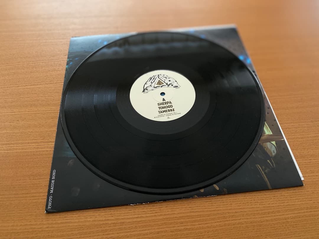 ANGINE DE POITRINE - VOL.1　vinyl（レコード）