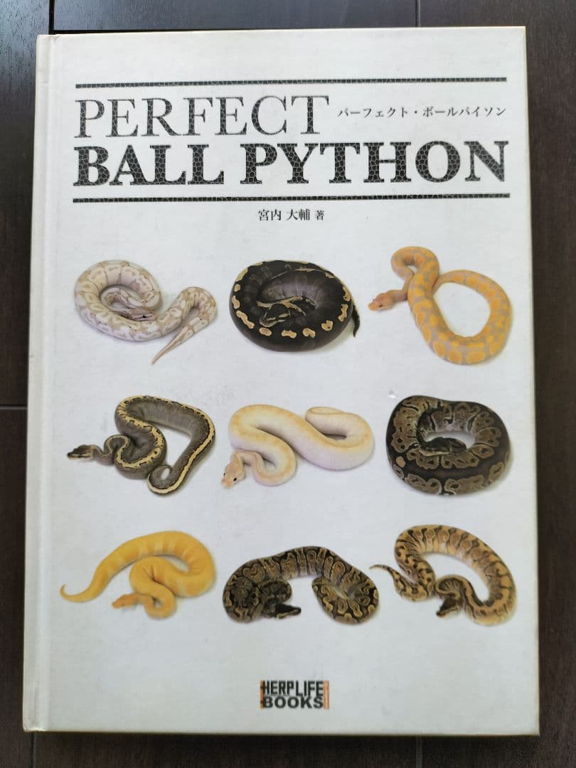 パーフェクトボールパイソンPERFECTBALLPYTHONモルフ飼育繁殖ビバガ