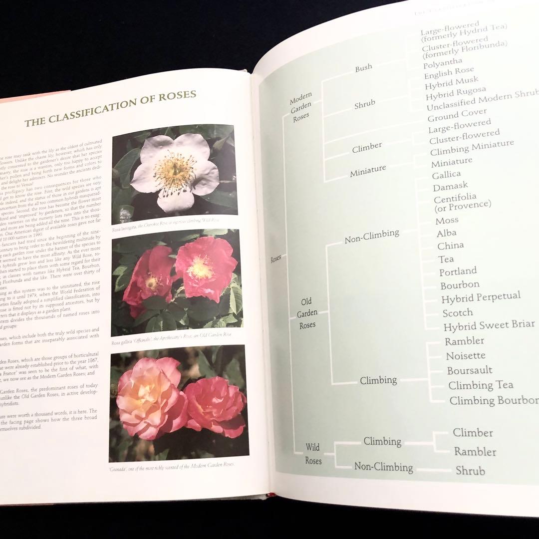 究極のバラ図鑑「The Ultimate Rose Book」1500種掲載