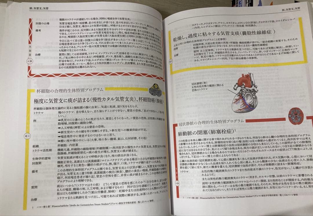 精神面から見る病気の原因 五つの生体自然法則 新医学 ビエルン・アイブル 希少本