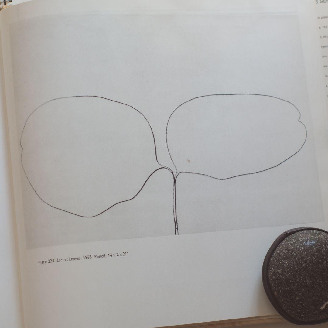 希少｜Ellsworth Kelly　アートブック