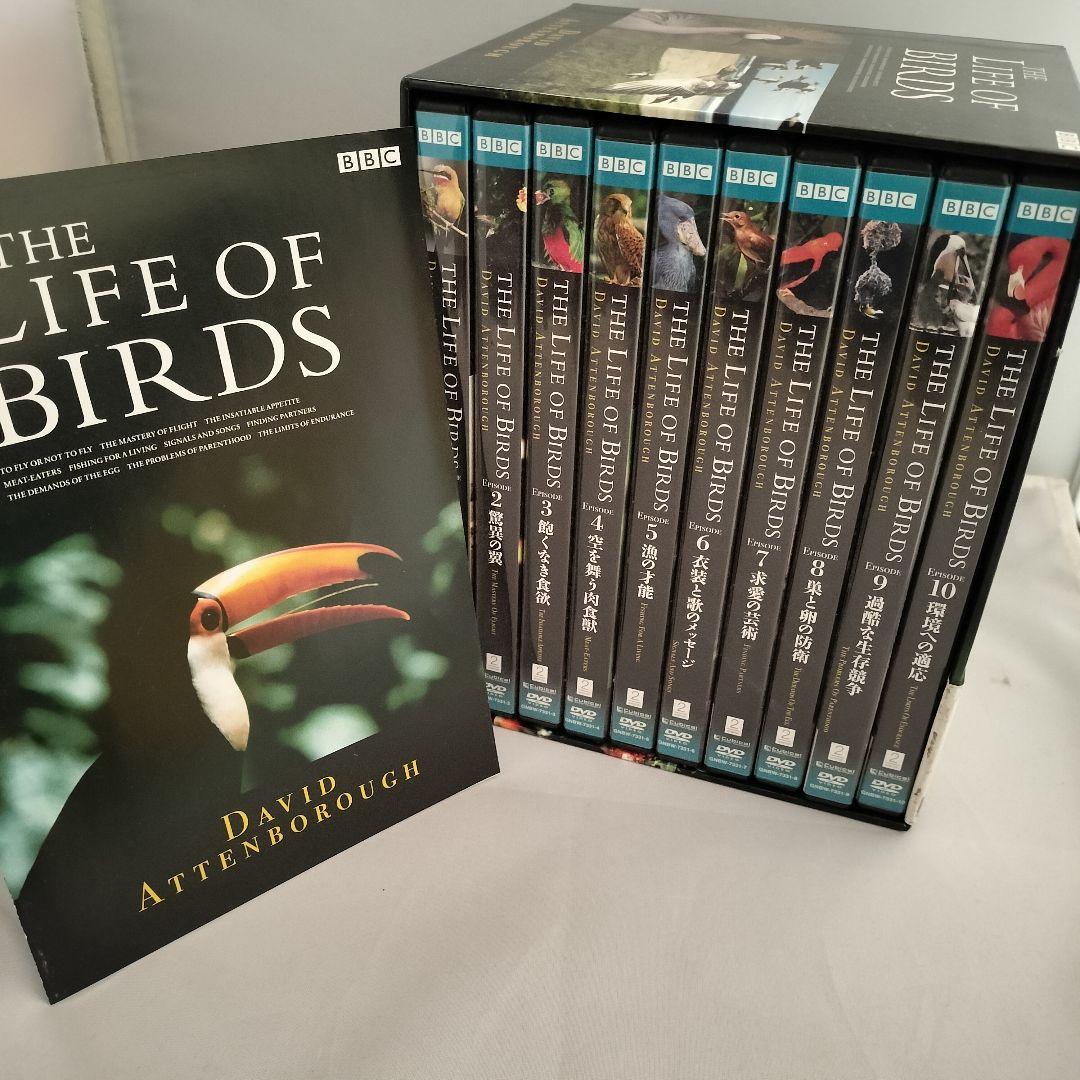 美品 BBC ライフ・オブ・バーズ/鳥の世界 DVD-BOX