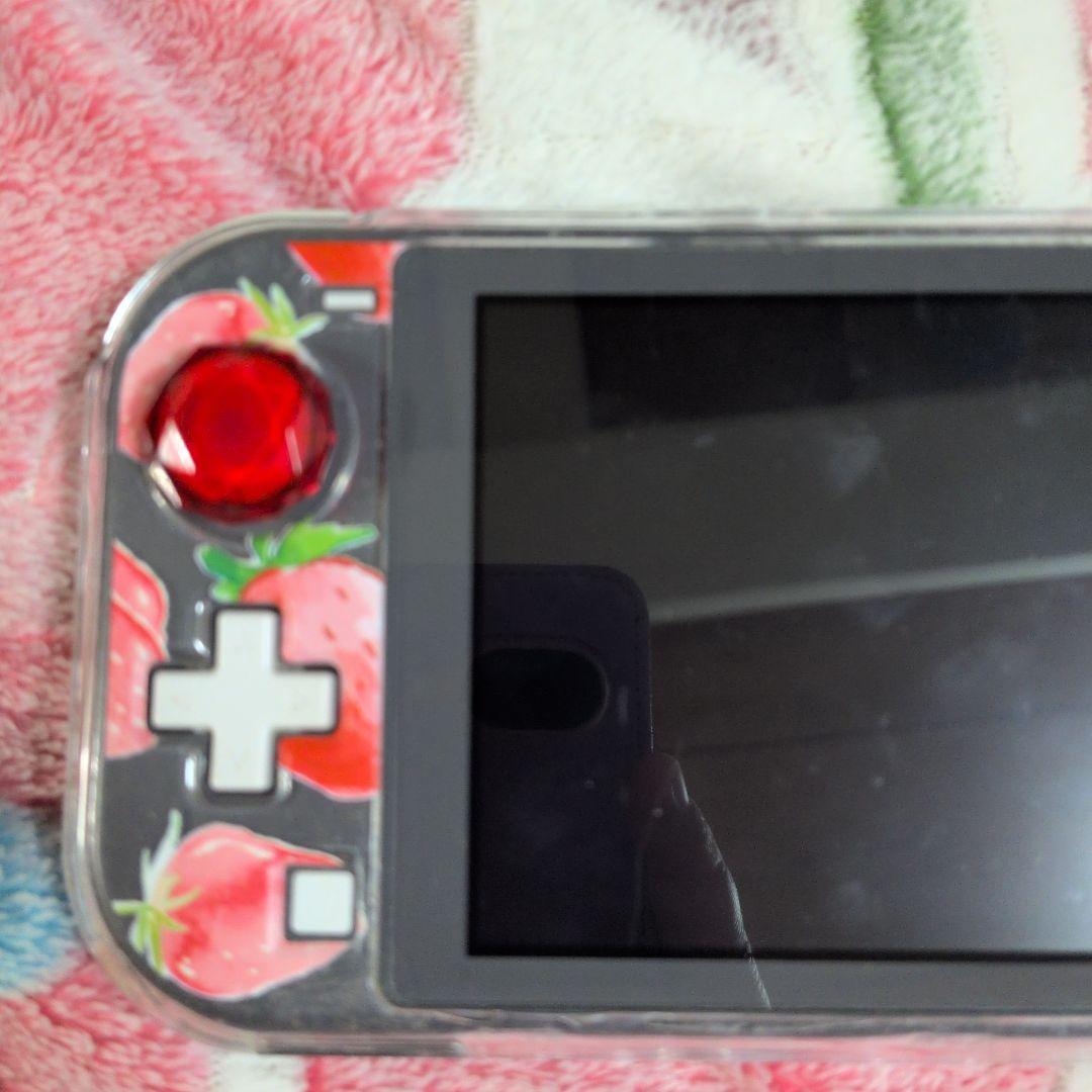 Switch Light スイッチライト ジャンク 本体 ブラック