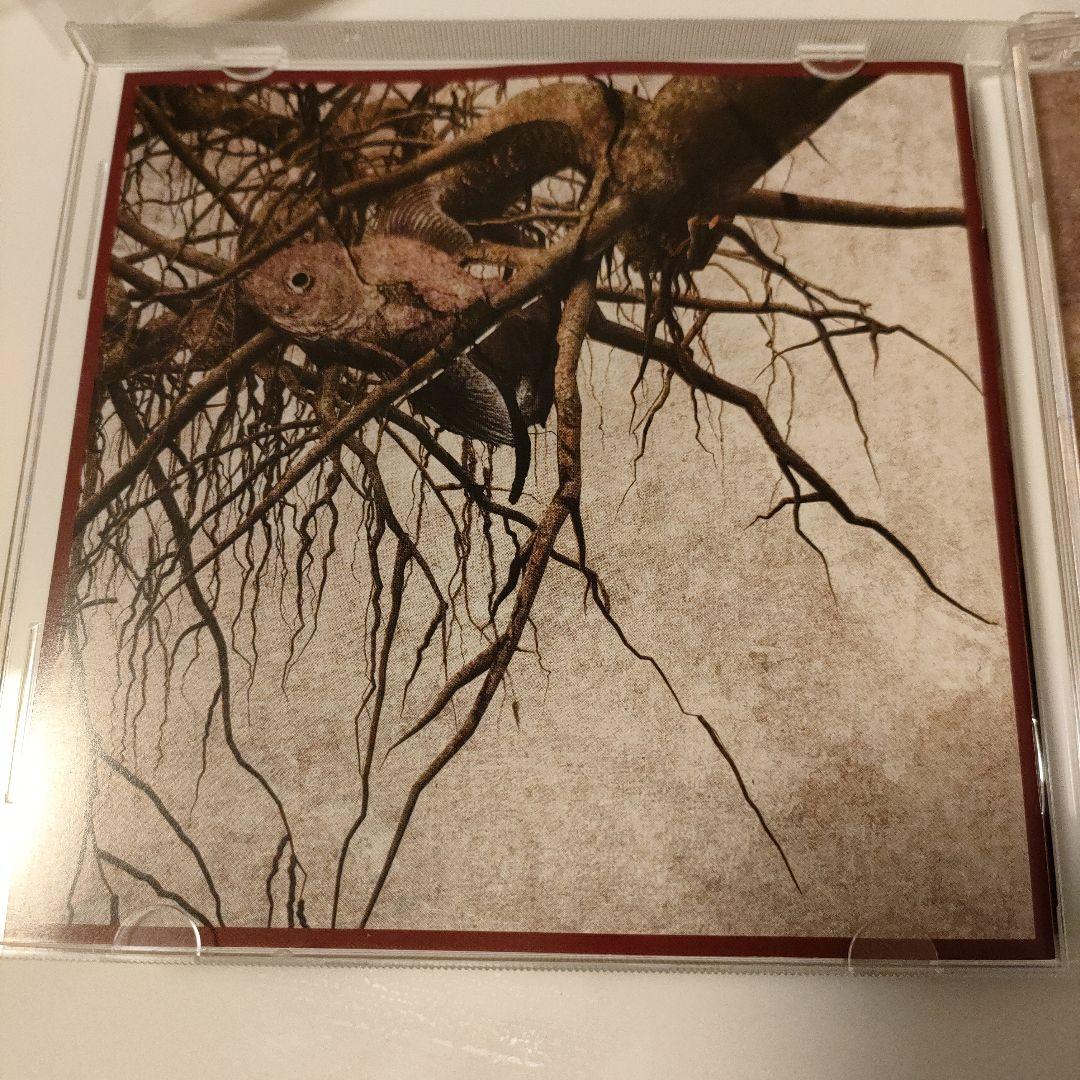 ★新品同様★DADAROMA/dadaism#1（会場限定盤）