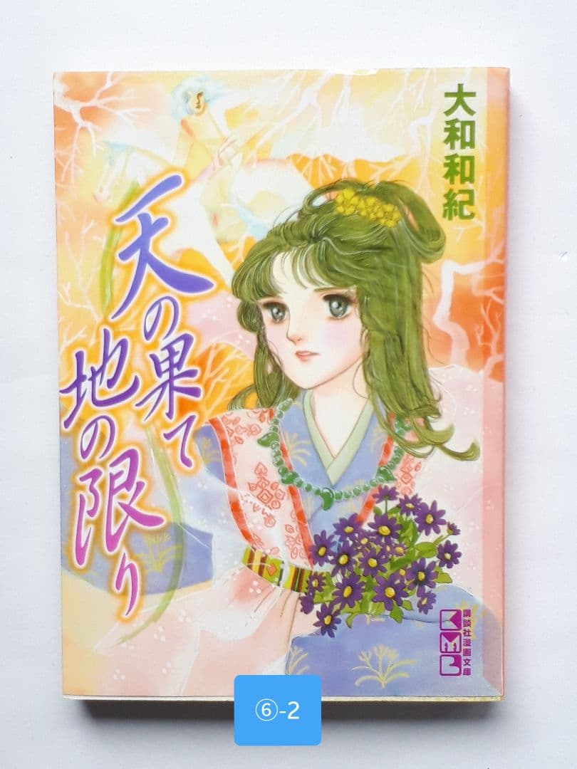 里中満智子作、大和和紀作　等 歴史コミック41巻の出品