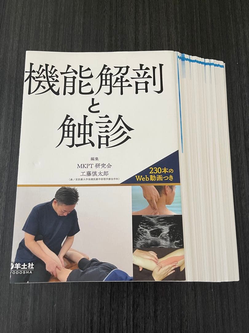 【裁断済】機能解剖と触診