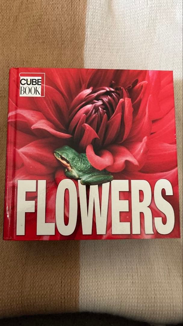 ★CUBE BOOK★ 4冊 セット 図鑑 歴史 洋書 インテリア