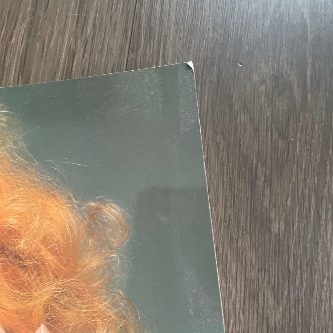 Vivienne Westwood 洋書　本
