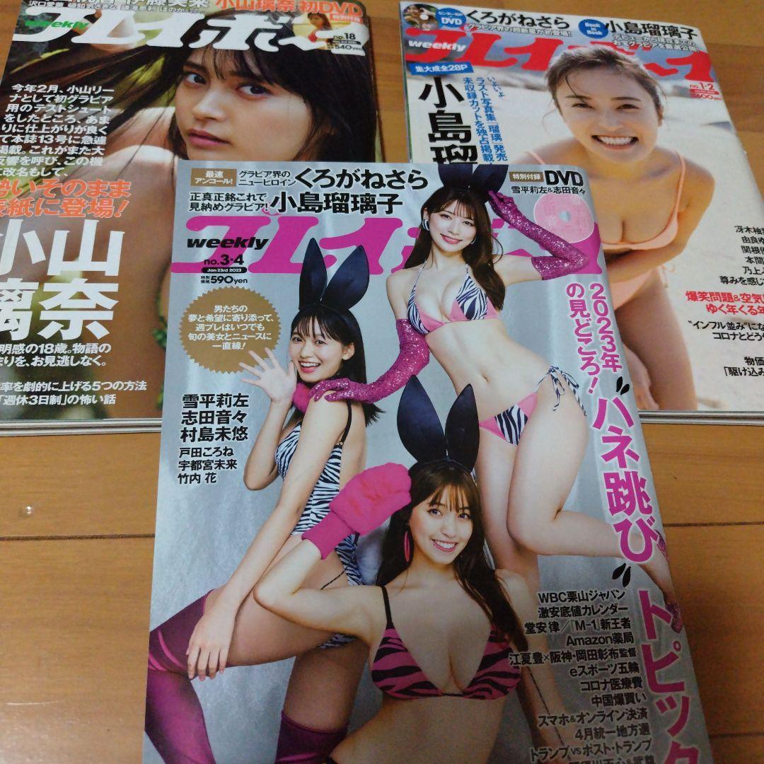 週刊プレイボーイ ２７冊まとめ売り