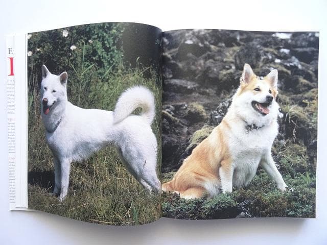 洋書◆犬の写真集 百科事典 本 イヌ いぬ ブルース・フォーグル