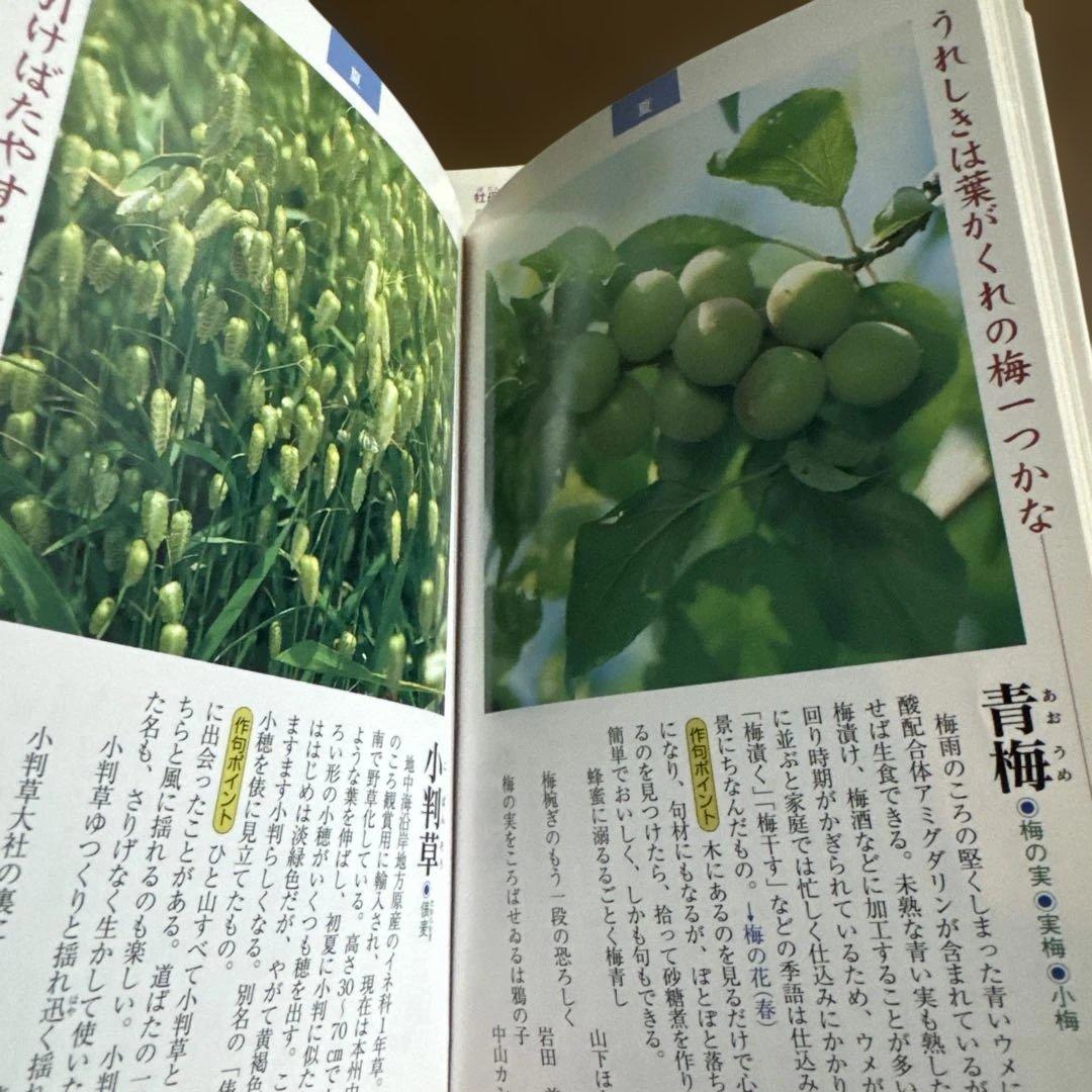 俳句の暮らしと行事 上・下巻 他　6冊まとめ売り