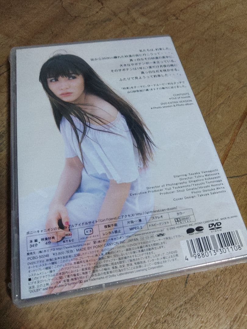 激レア　山口紗弥加/Out of bounds　新品未開封　DVD