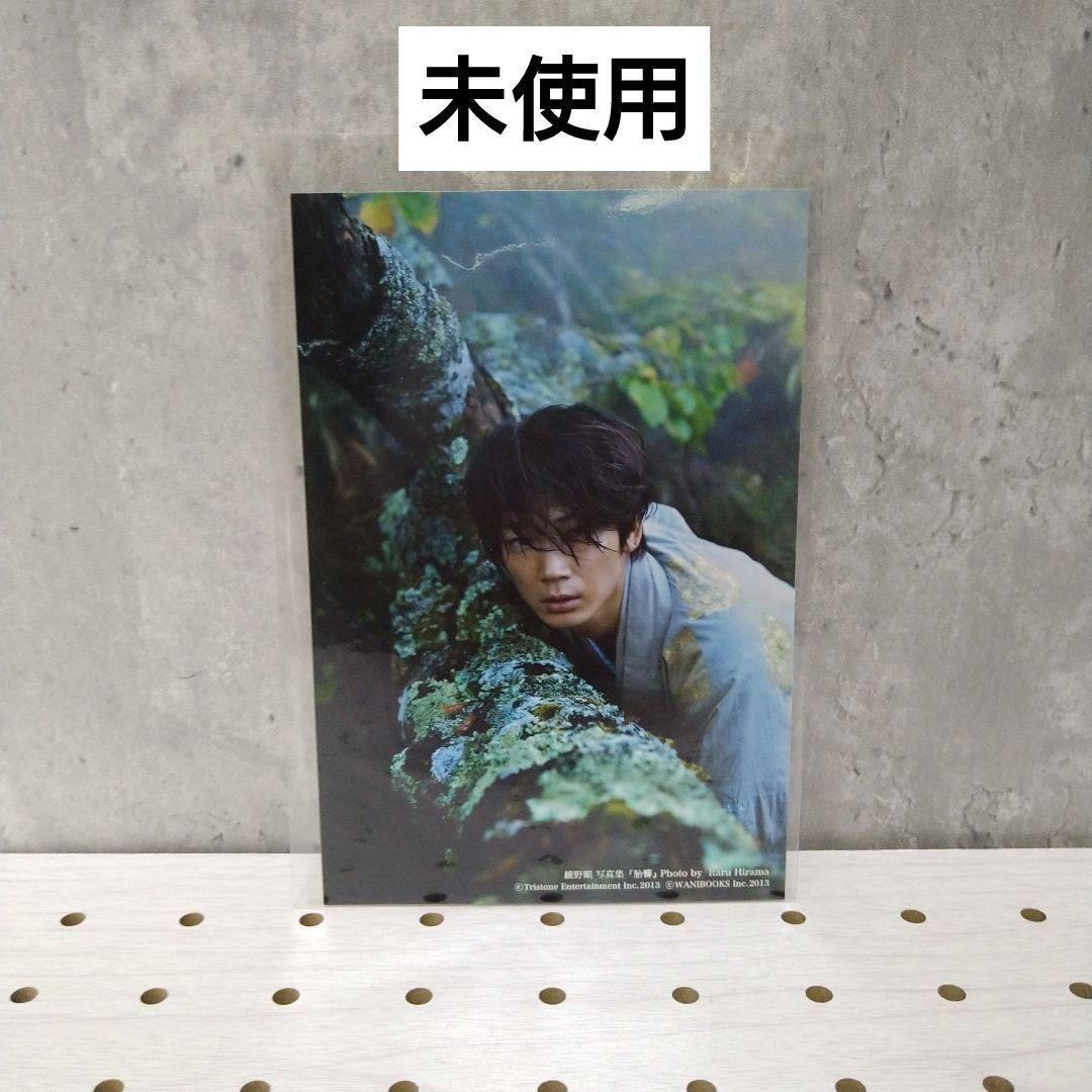 【新品】胎響 綾野剛写真集 特典 ポストカード 未使用