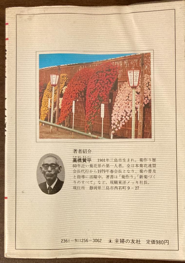 「懸崖と盆栽菊」図解・仕立て方のコツ