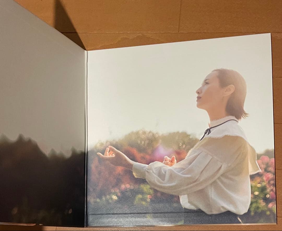 希少アナログLP ann sally はじまりのとき アン・サリー