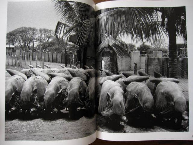人間の大地　労働　Sebastiao Salgado
