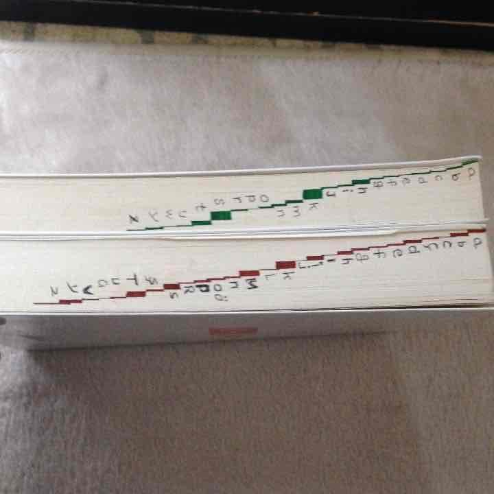 2冊セットまとめて！　トルコ語小辞典、続トルコ語小辞典