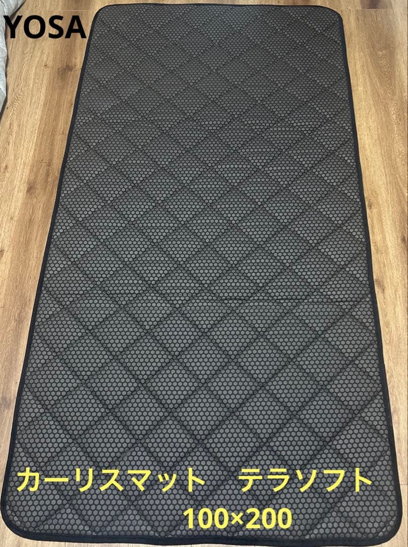 な*ん様 『100×200』カーリスマットテラソフトYOSA