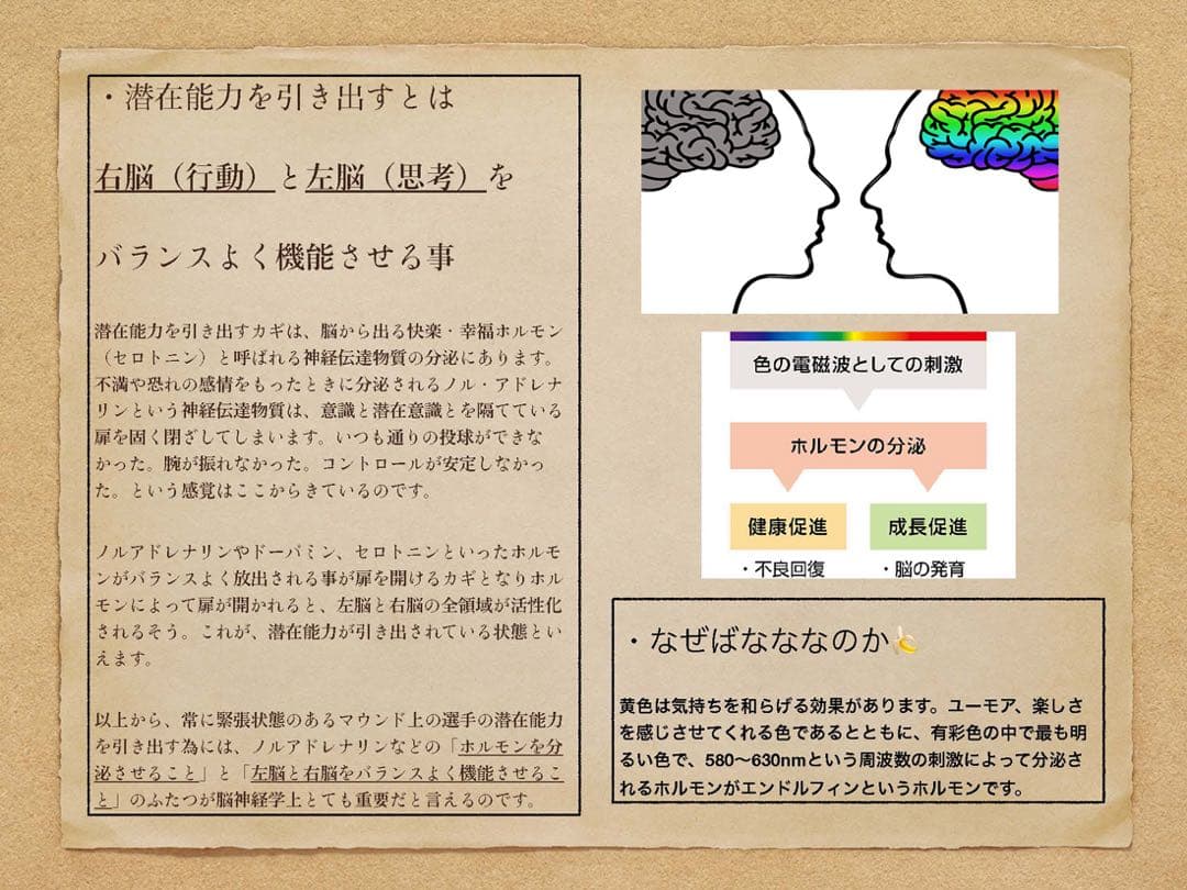 ごりら印の野球道具　硬式用グローブSKR型 左投げ用【期間限定値下げ】
