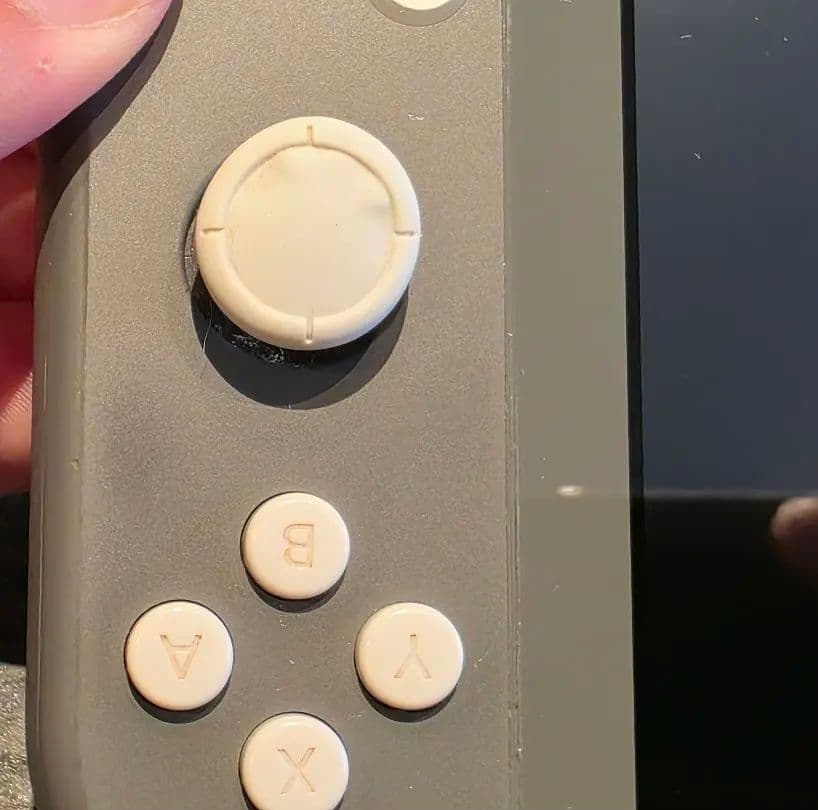 Switch ライト グレー