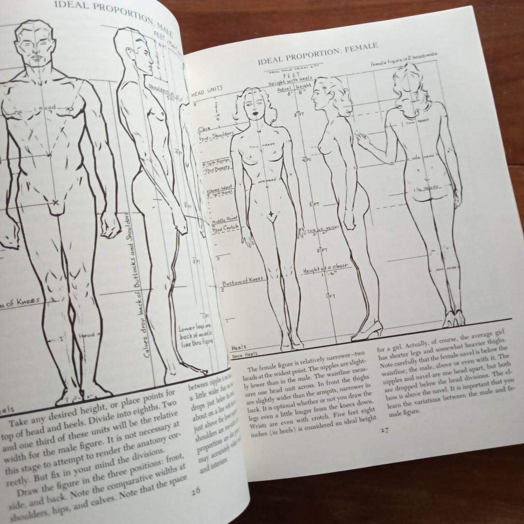 Figure Drawing 　美術　解剖図　遠近法　ドローイング　イラスト